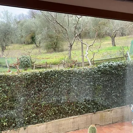 Zara Alojamento de Acomodação e Pequeno-almoço Siena